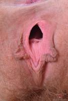 ATK hairy Nickey Huntsman Set