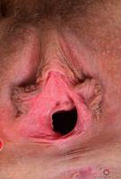 ATK hairy Nickey Huntsman Set