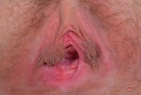 ATK hairy Nickey Huntsman Set