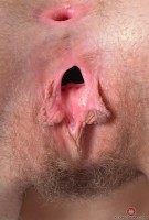 ATK hairy Nickey Huntsman Set