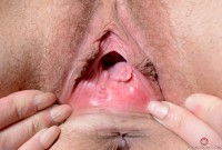 ATK hairy Nickey Huntsman Set