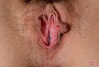 ATK hairy Nickey Huntsman in young and hairy