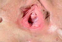 ATK hairy Nickey Huntsman in young and hairy