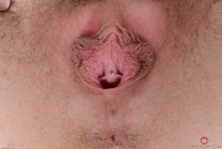 ATK hairy Nickey Huntsman in young and hairy