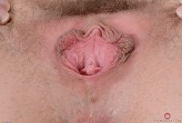 ATK hairy Nickey Huntsman Set