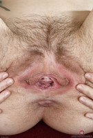 ATK hairy Nickey Huntsman in young and hairy