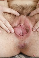 ATK hairy Nickey Huntsman in young and hairy