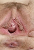 ATK hairy Nickey Huntsman Set