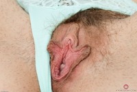 ATK hairy Nickey Huntsman in young and hairy