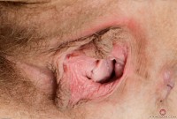 ATK hairy Nickey Huntsman in young and hairy