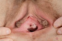 ATK hairy Nickey Huntsman in young and hairy