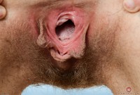 ATK hairy Nickey Huntsman in young and hairy