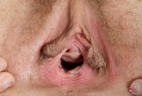 ATK hairy Nickey Huntsman in young and hairy