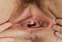 ATK hairy Nickey Huntsman in young and hairy