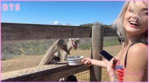 ATK Aunt Judys  in Virtual vacation