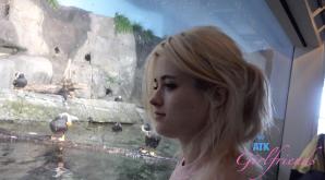 ATK Aunt Judys  in Virtual vacation