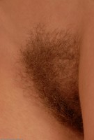 ATK hairy Nikol Set