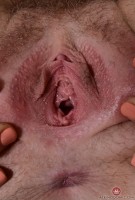 ATK hairy Niki Snow Set