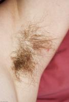 ATK hairy Nixi Set