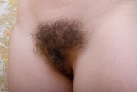 ATK hairy Nora Set