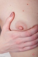 ATK hairy Ogil Basted Set