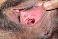 ATK hairy  in exotic and hairy