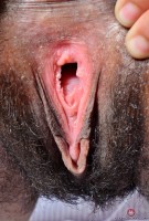 ATK hairy Olivia Green Set