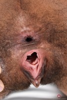 ATK hairy Olivia Green Set