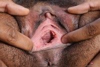 ATK hairy Olivia Green Set