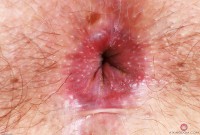 ATK hairy Olivia Marie Set