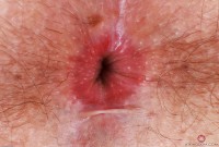 ATK hairy Olivia Marie Set