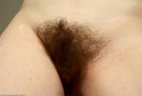 ATK hairy  in scary hairy