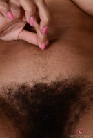 ATK hairy  in exotic and hairy
