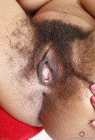 ATK hairy  in exotic and hairy
