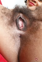 ATK hairy  in exotic and hairy