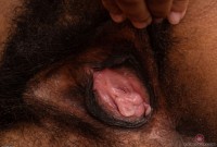 ATK hairy  in exotic and hairy