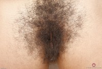 ATK hairy  in exotic and hairy