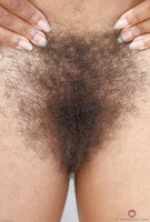 ATK hairy  in exotic and hairy