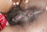 ATK hairy Panreece Set