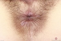 ATK hairy  in exotic and hairy