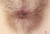 ATK hairy Iris Ivy in exotic and hairy