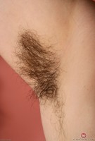 ATK hairy  in scary hairy