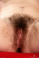 ATK hairy Paulette Set