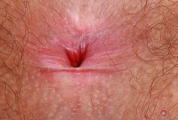 ATK hairy  in scary hairy