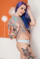 ATK hairy Pearl Sage Set