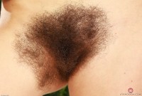 ATK hairy Pearl Sage Set