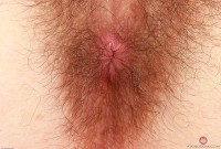 ATK hairy  in scary hairy