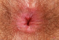 ATK hairy Pearl Sage Set