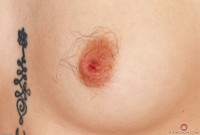 ATK hairy  in scary hairy