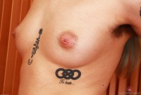 ATK hairy Pearl Sage Set